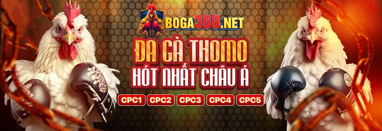 Đá gà trực tuyến bet89 bet với trận đấu kịch tính